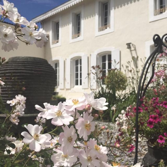 Maison D'Hotes Lassaubatju Hontanx Dış mekan fotoğraf